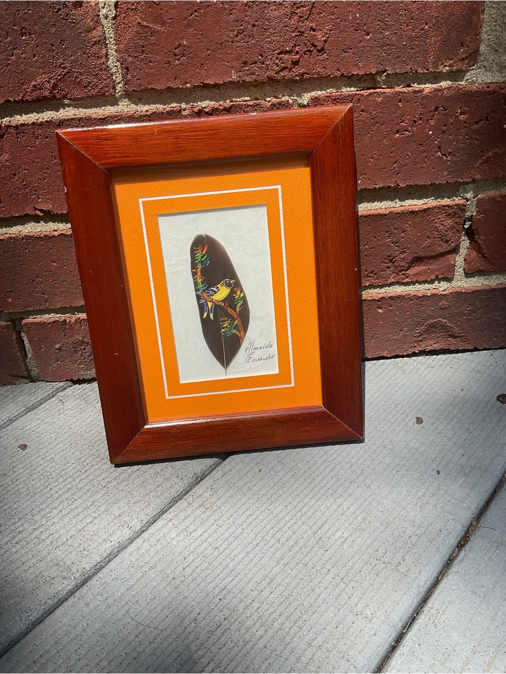 Painted Bird Feather Folk Art matted & framed Almeido Ecuador